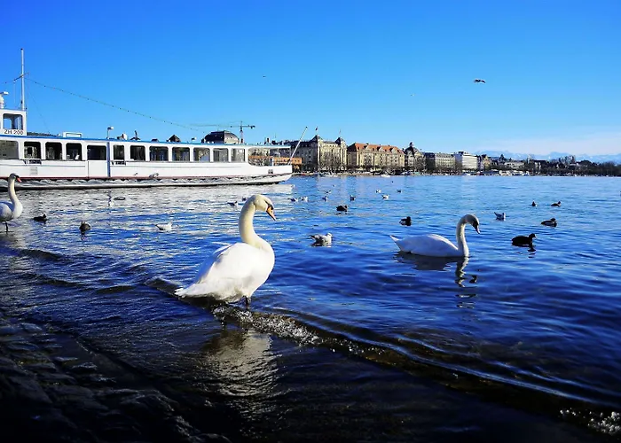 Europe 酒店 苏黎世